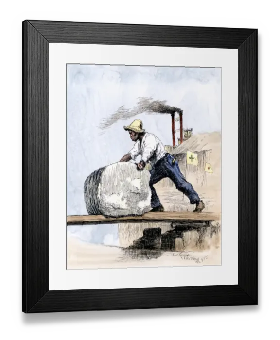 Framed Print : Cotton bale loaded on a boat in New Orleans, 1800s Framed Print : Cotton bale loaded on a boat in New Orleans, 1800s