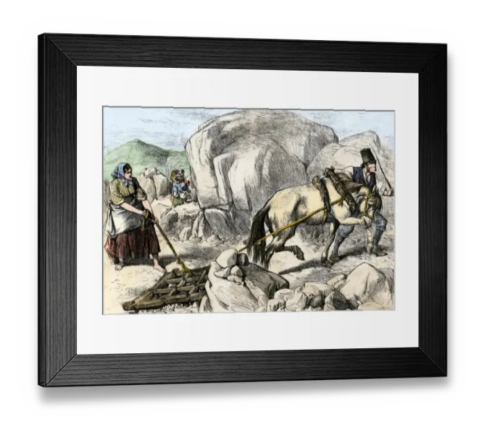 Framed Print : Irish farmers harrowing poor soil, 1800s Framed Print : Irish farmers harrowing poor soil, 1800s
