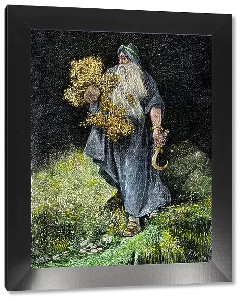 Druid carrying mistletoe