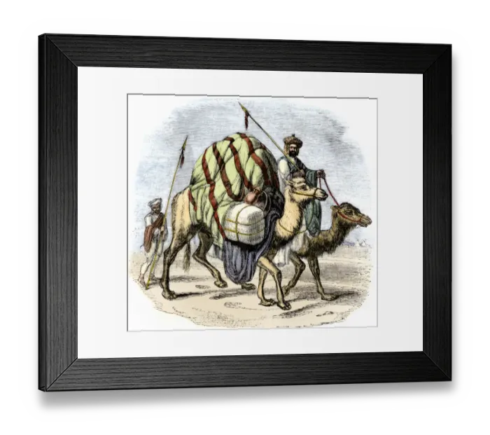Framed Print : Camel caravan loaded with goods Framed Print : Camel caravan loaded with goods