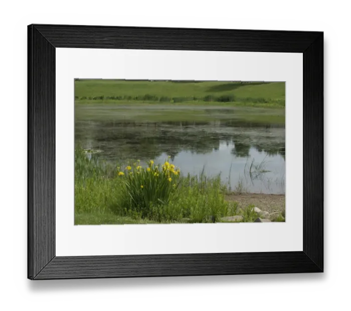 Framed Print : Cartiers landing place on the St Lawrence, Quebec Framed Print : Cartiers landing place on the St Lawrence, Quebec