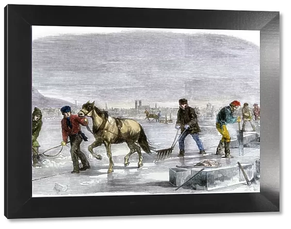 Ice-cutting in Quebec, 1850s