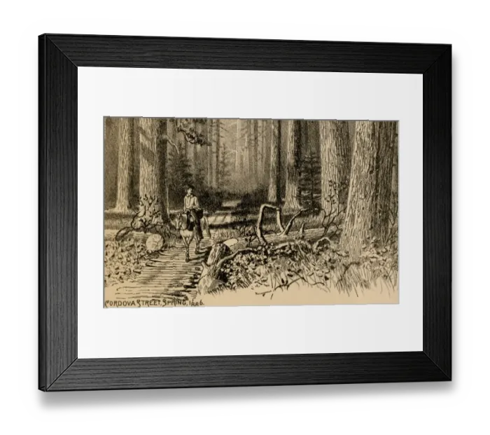 Framed Print : Vancouver Island corduroy road, 1800s