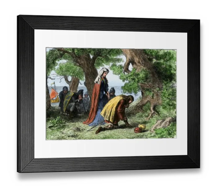 Framed Print : Vikings discovering Vinland Framed Print : Vikings discovering Vinland
