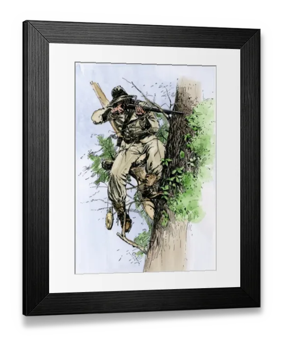 Framed Print : Confederate sharpshooter taking aim from his perch in a tree