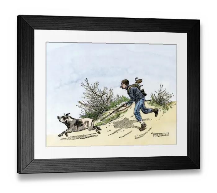 Framed Print : Hungry Union soldier chasing a pig during the Wilderness campaign in Virginia Framed Print : Hungry Union soldier chasing a pig during the Wilderness campaign in Virginia