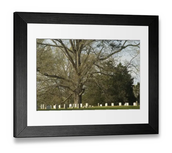 Framed Print : National Cemetery, Shiloh battlefield