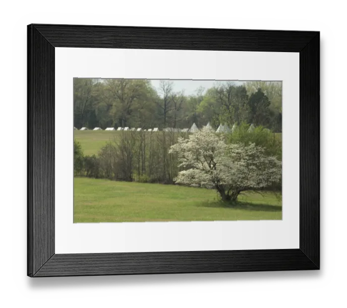 Framed Print : Reenactment of a Civil War army camp, Shiloh battlefield Framed Print : Reenactment of a Civil War army camp, Shiloh battlefield