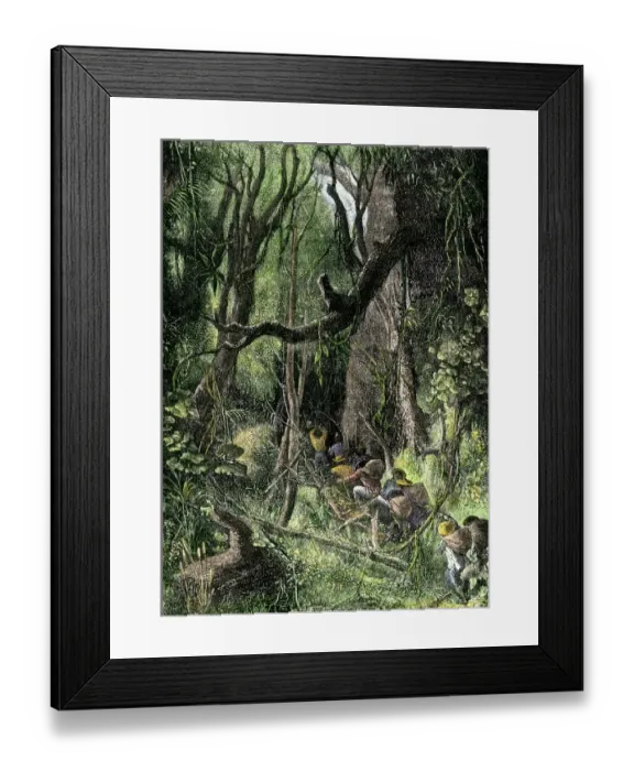 Framed Print : Exploring a tropical rain forest Framed Print : Exploring a tropical rain forest