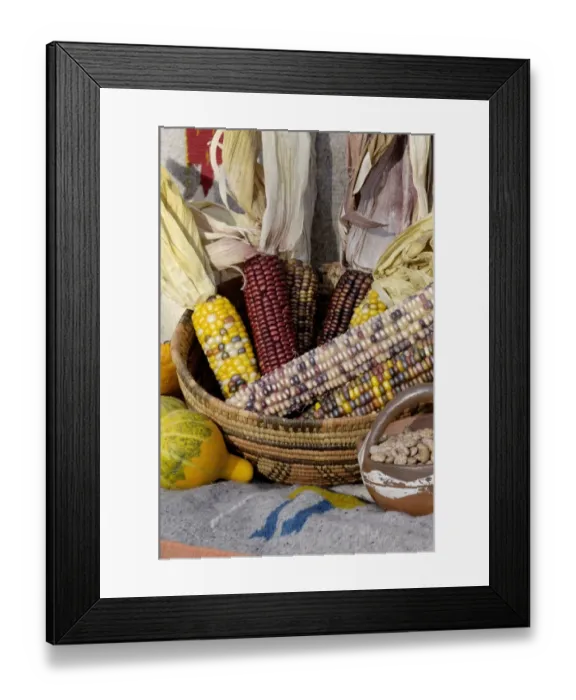 Framed Print : Squash, corn, and beans, - the three sisters of Native American agriculture