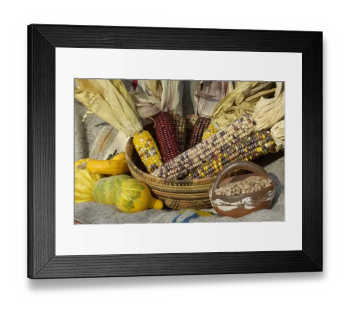 Framed Print : Squash, corn, and beans - the three sisters of Native American agriculture