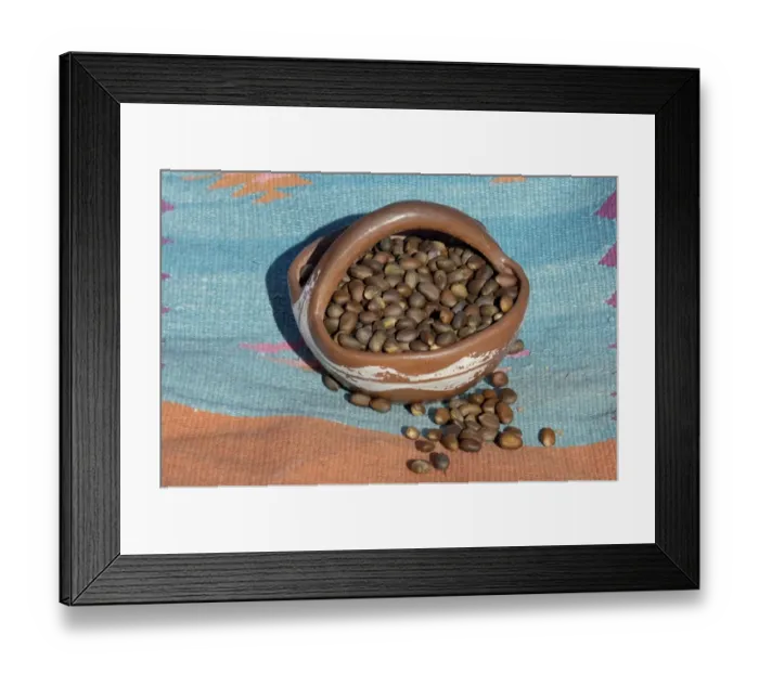 Framed Print : Pinon nuts, an important food of Southwestern Native Americans Framed Print : Pinon nuts, an important food of Southwestern Native Americans
