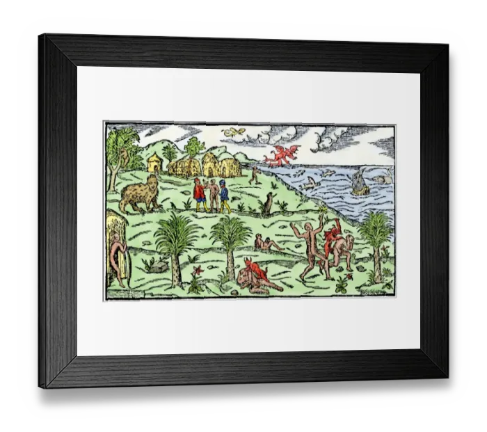 Framed Print : Early depiction of Brazil in the Age of Discovery Framed Print : Early depiction of Brazil in the Age of Discovery