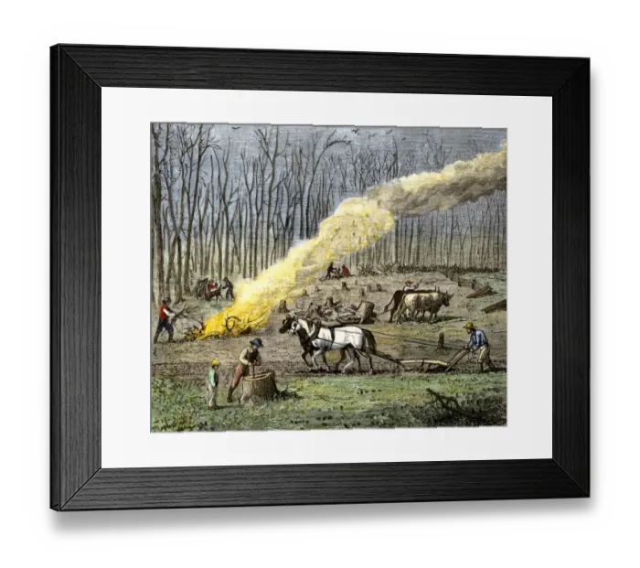 Framed Print : Clearing farmland in spring for planting Framed Print : Clearing farmland in spring for planting