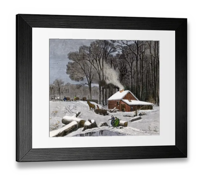 Framed Print : Horsedrawn sleds hauling sap in a maple sugar camp 1800s Framed Print : Horsedrawn sleds hauling sap in a maple sugar camp 1800s