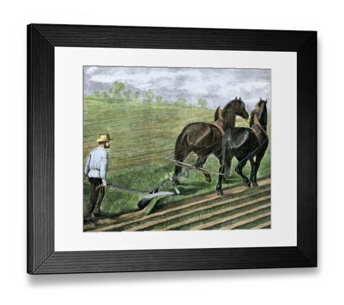 Framed Print : Farmer plowing sod with a team of horses
