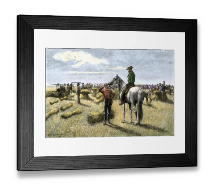 Framed Print : Harvesting wheat on a Dakota bonanza farm