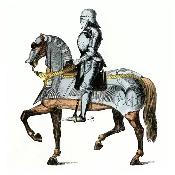 Medieval knight and his horse