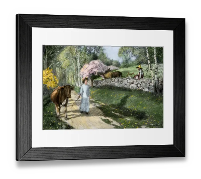 Framed Print : Rural romance