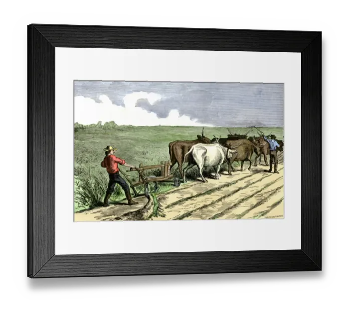 Framed Print : Homesteader plowing a western prairie Framed Print : Homesteader plowing a western prairie