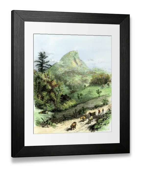Framed Print : Pioneer children bringing the cows home