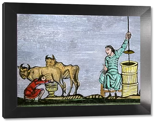 Medieval milking and churning