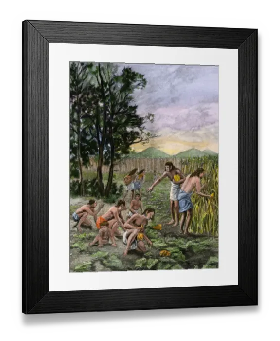 Framed Print : Moundbuilders harvesting corn and squash