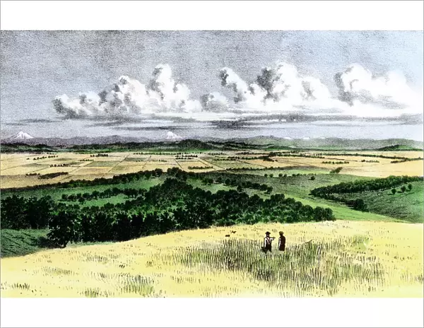 Oregon wheatfields, late 1800s