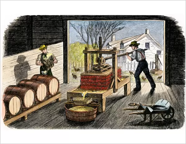 Farmers making apple cider, 1800s