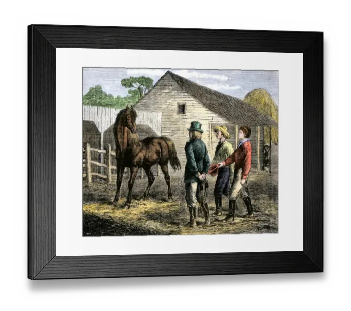 Framed Print : Training a young horse, 1800s Framed Print : Training a young horse, 1800s