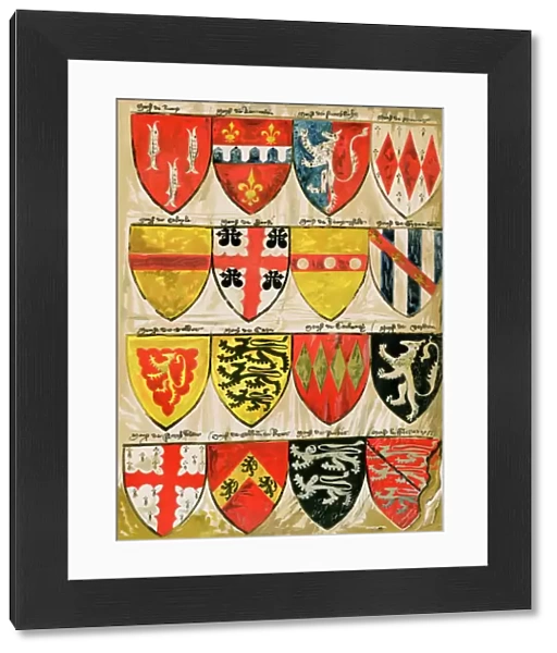Medieval English shield designs