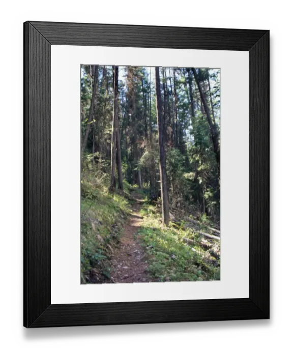 Framed Print : Lewis and Clark trail over Lolo Pass