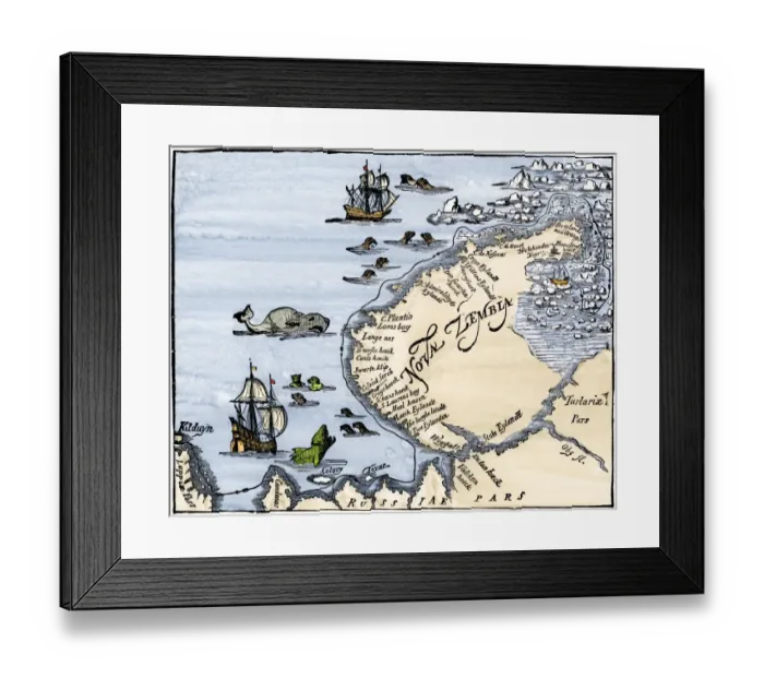 Framed Print : Early map showing Nova Zembla off the Arctic coast of Russia