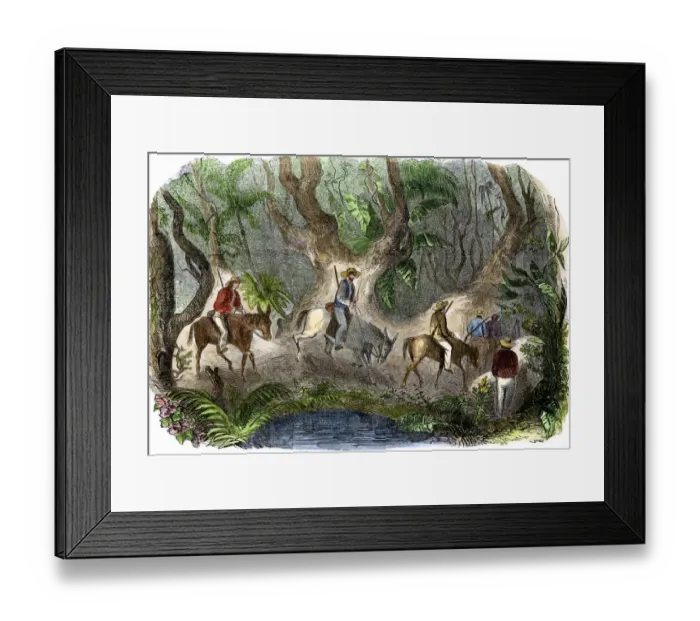 Framed Print : Prospectors traveling to the California gold regions crossing through jungle Framed Print : Prospectors traveling to the California gold regions crossing through jungle