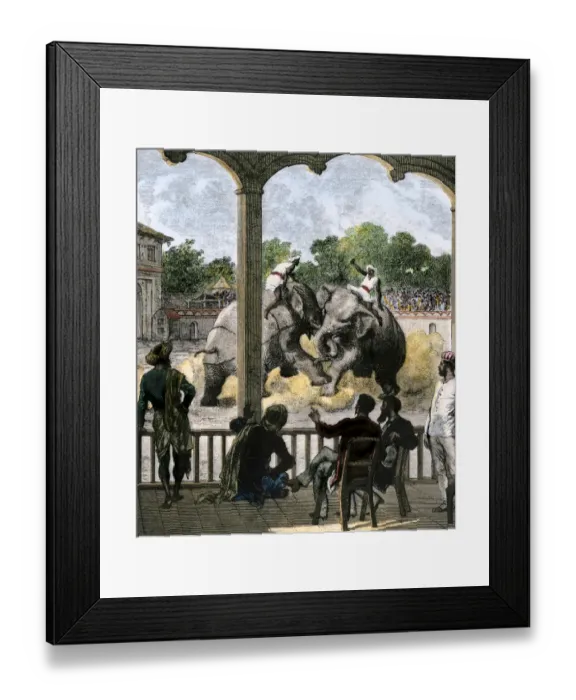 Framed Print : Elephant-fight for sport in British colonial India Framed Print : Elephant-fight for sport in British colonial India