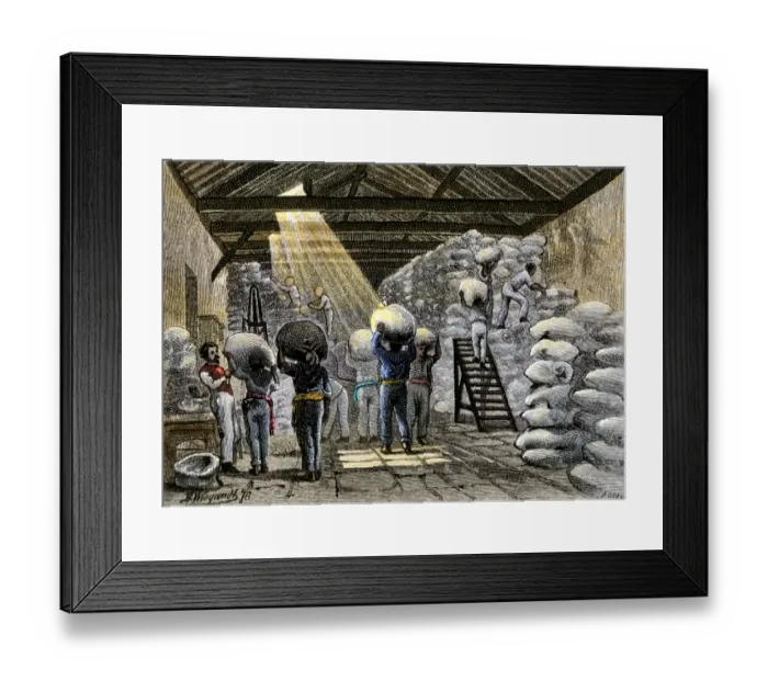 Framed Print : Sacks of coffee carried into a warehouse in Brazil Framed Print : Sacks of coffee carried into a warehouse in Brazil