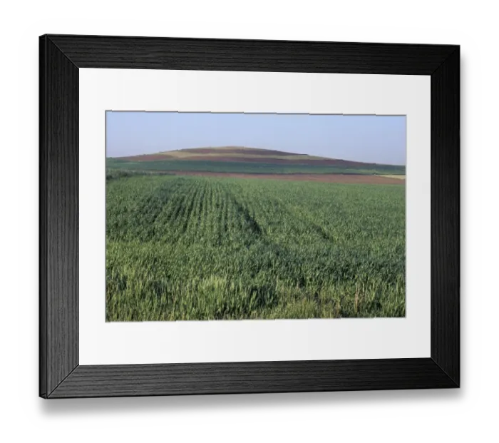 Framed Print : Drumlin, a glacial feature on the Ice Age Trail, Wisconsin Framed Print : Drumlin, a glacial feature on the Ice Age Trail, Wisconsin