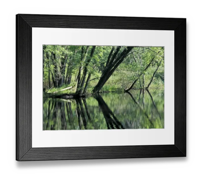 Framed Print : Fox River, Wisconsin Framed Print : Fox River, Wisconsin
