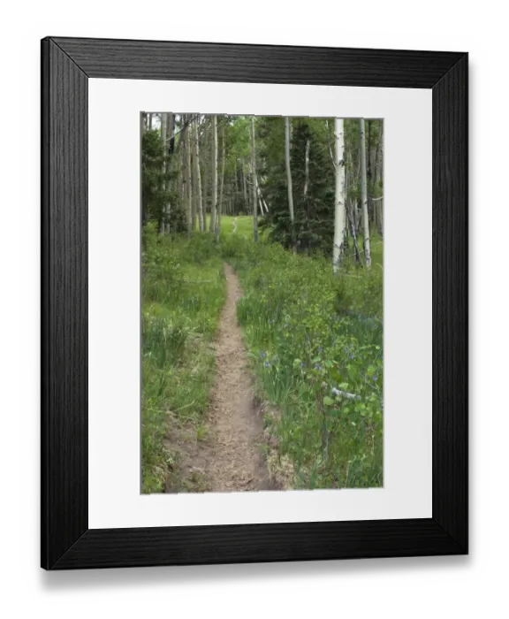 Framed Print : Pecos Wilderness trail, New Mexico Framed Print : Pecos Wilderness trail, New Mexico
