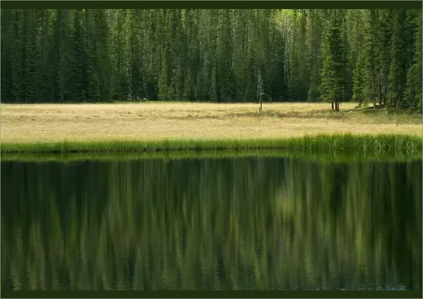 Pecos Wilderness lake, New Mexico