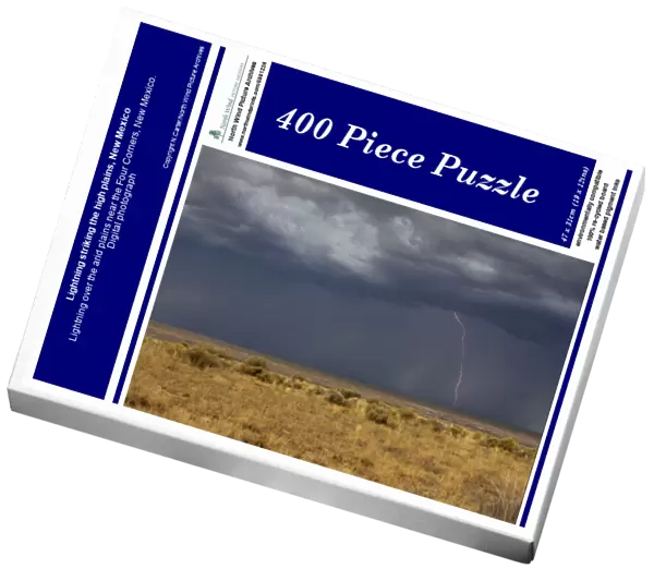 Lightning striking the high plains, New Mexico