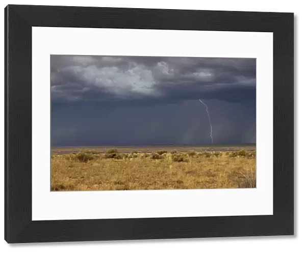 Lightning striking the high plains, New Mexico