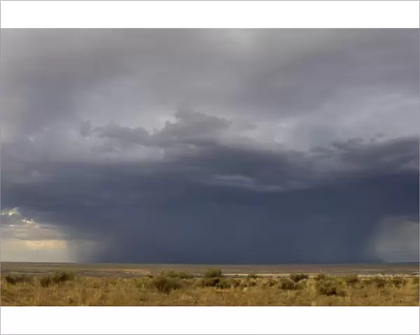 Rainstorm on the high plains, New Mexico