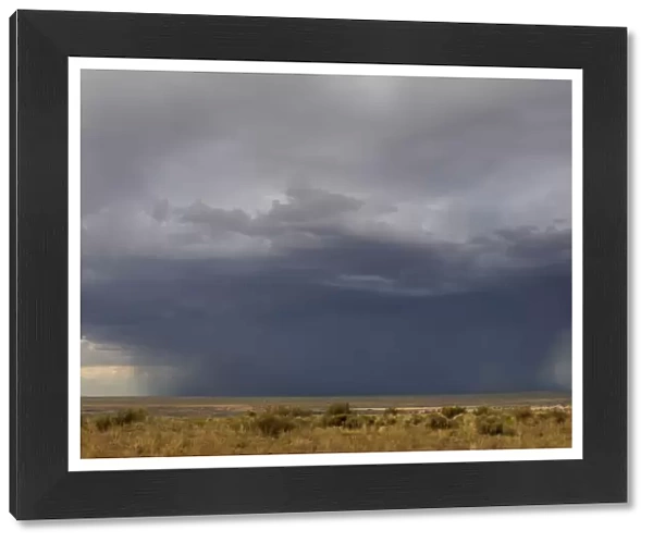 Rainstorm on the high plains, New Mexico