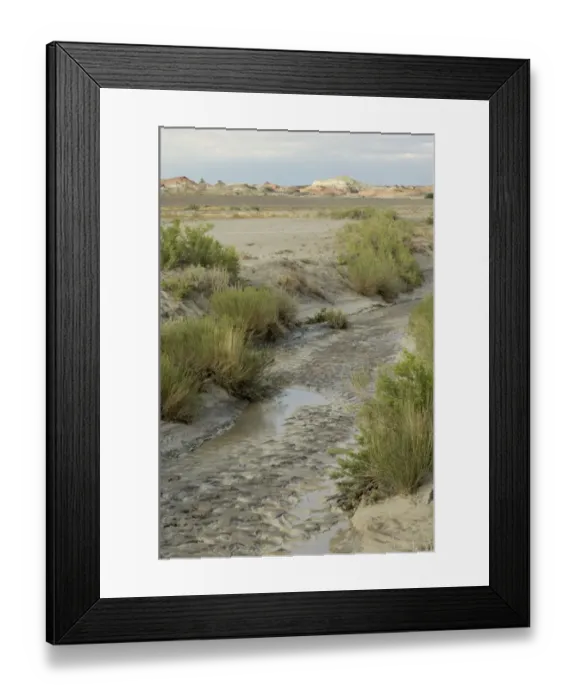 Framed Print : Bisti Badlands, New Mexico Framed Print : Bisti Badlands, New Mexico