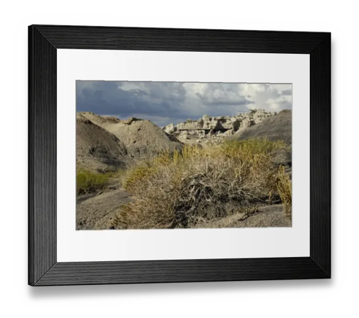 Framed Print : Bisti Badlands, New Mexico Framed Print : Bisti Badlands, New Mexico