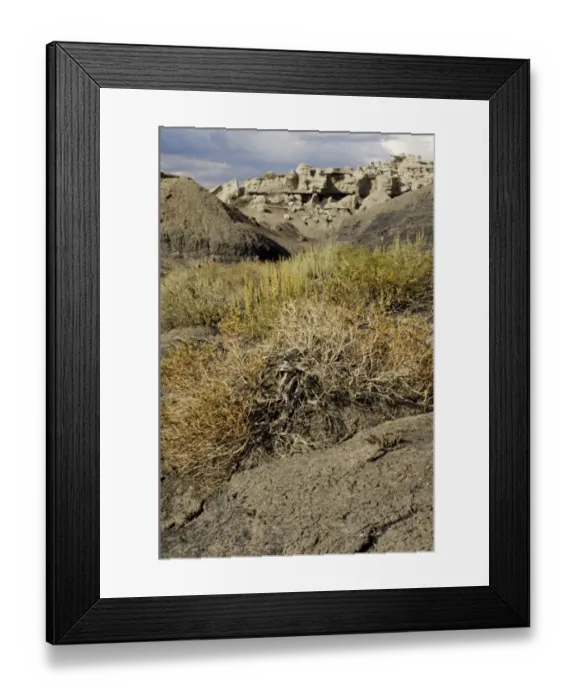 Framed Print : Bisti Badlands, New Mexico Framed Print : Bisti Badlands, New Mexico