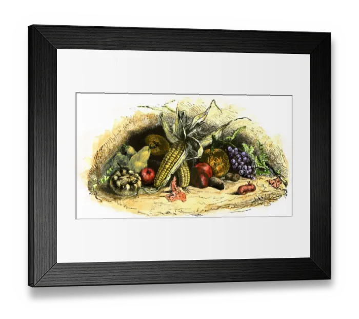 Framed Print : Some New World crops, including maize
