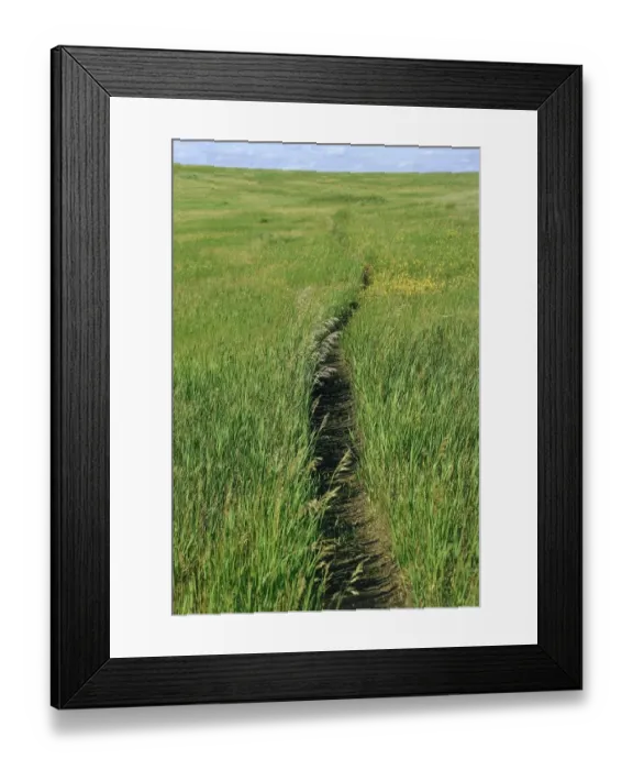 Framed Print : Trail in the grasslands of North Dakota Framed Print : Trail in the grasslands of North Dakota