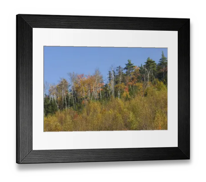 Framed Print : Albany Mountain fall colors, Maine Framed Print : Albany Mountain fall colors, Maine